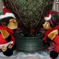 erstes Weihnachtsfest