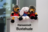 Hase und Igel in Buxtehude - Stadterkundung_10