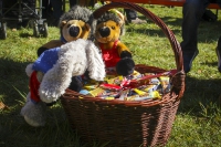 Ostern mit Hase und Igel