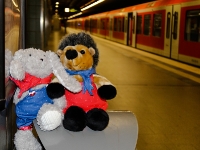 Hase und Igel in Hamburg_2