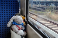 Hase und Igel in Hamburg_6