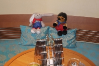 Hase und Igel on Tour